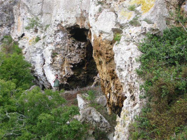 Albertinia limestone IMG 2840